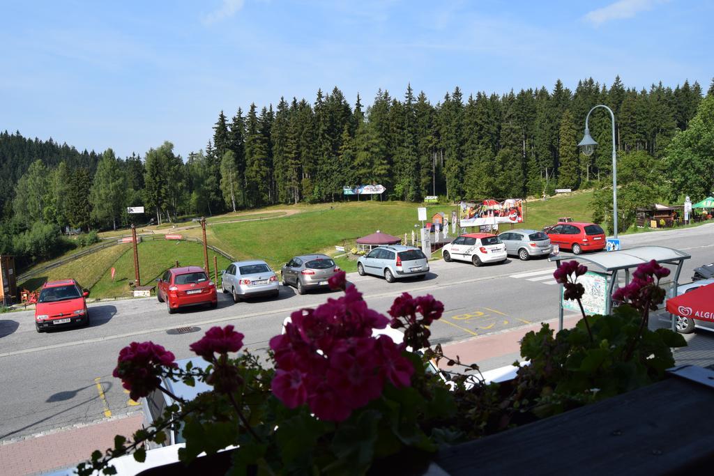 Verde Rosa Harrachov Quarto foto